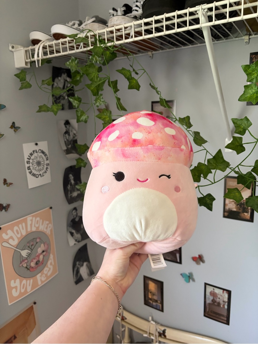 Molly The Pink Mushroom Squishmallow